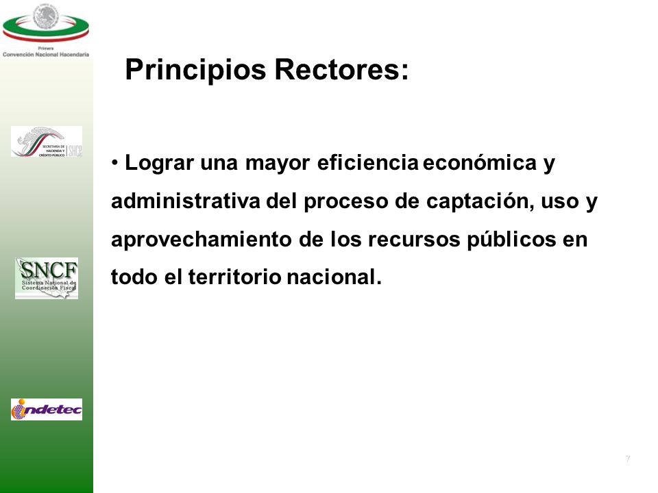 Principios Rectores: Lograr una mayor eficiencia económica y
