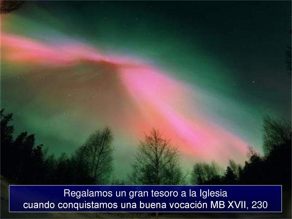 Regalamos un gran tesoro a la Iglesia cuando conquistamos una buena vocación MB XVII, 230