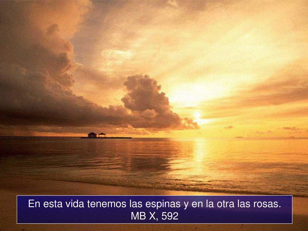 En esta vida tenemos las espinas y en la otra las rosas. MB X, 592