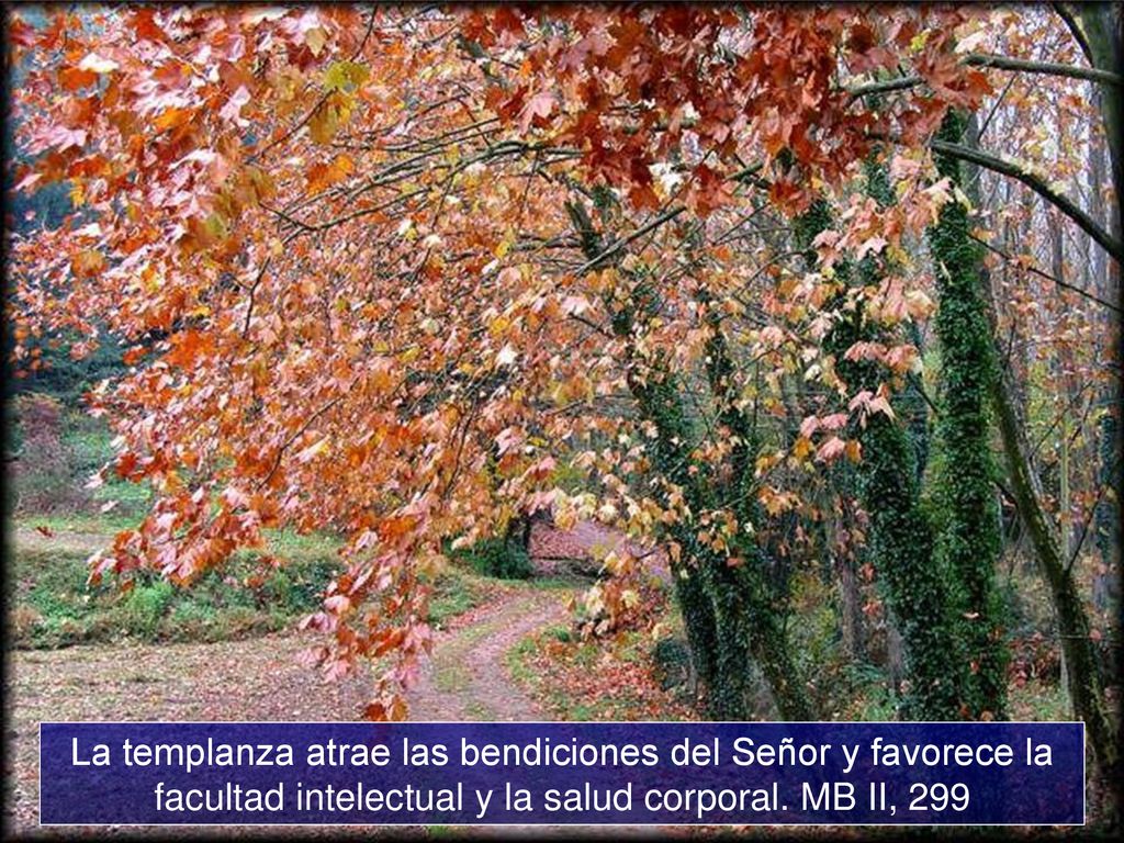 La templanza atrae las bendiciones del Señor y favorece la facultad intelectual y la salud corporal.