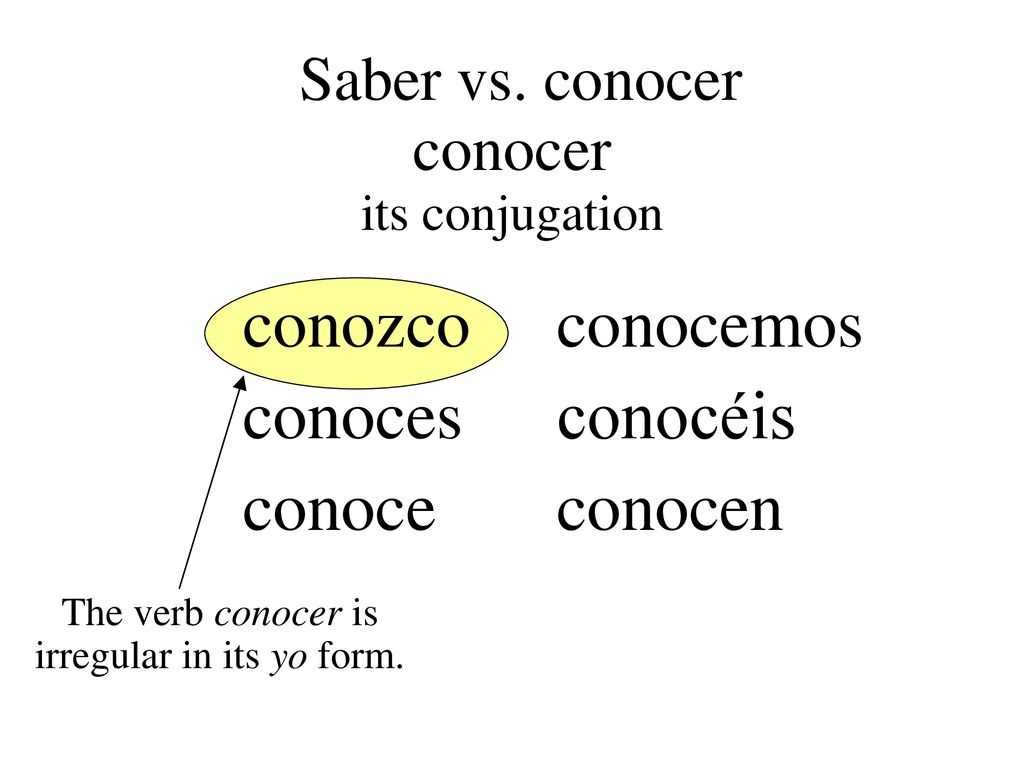 The verb conocer is irregular in its yo form.