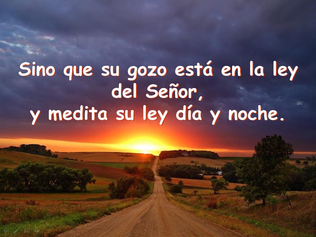 Sino que su gozo está en la ley y medita su ley día y noche.