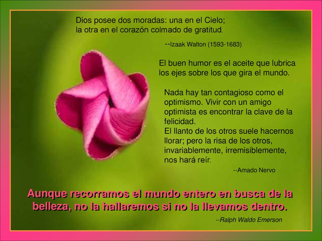 Dios posee dos moradas: una en el Cielo; la otra en el corazón colmado de gratitud.