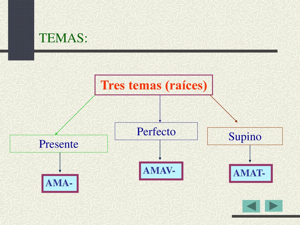 TEMAS: Tres temas (raíces) Perfecto Supino Presente AMAV- AMAT- AMA-