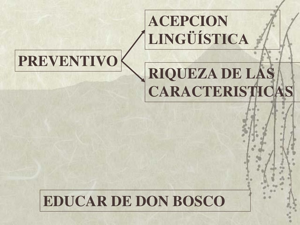 ACEPCION LINGÜÍSTICA PREVENTIVO RIQUEZA DE LAS CARACTERISTICAS EDUCAR DE DON BOSCO