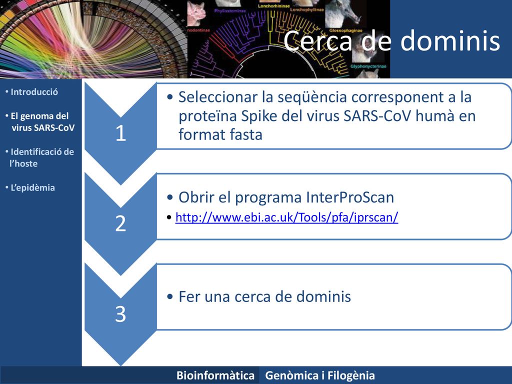 Cerca de dominis Introducció. El genoma del. virus SARS-CoV. Identificació de. l’hoste. L’epidèmia.