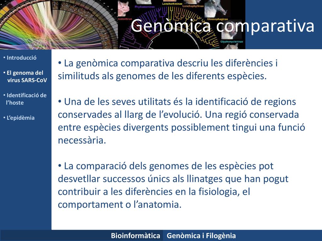 Genòmica comparativa Introducció. El genoma del. virus SARS-CoV. Identificació de. l’hoste. L’epidèmia.