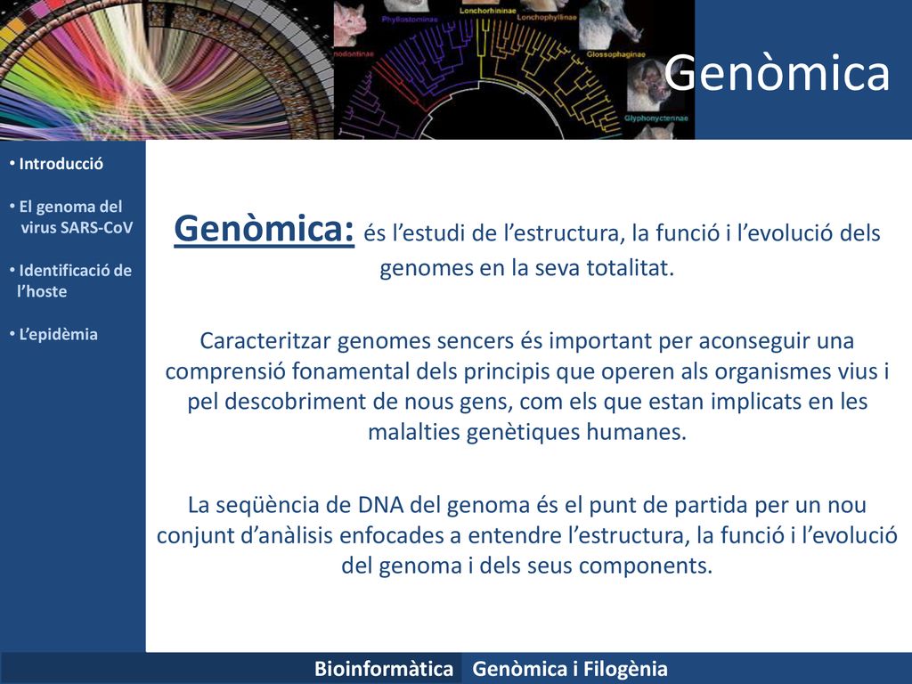 Genòmica Introducció. El genoma del. virus SARS-CoV. Identificació de. l’hoste. L’epidèmia.