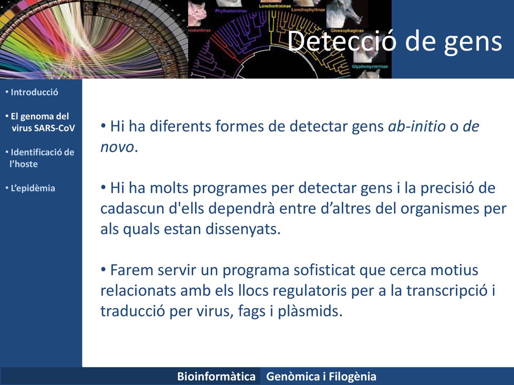 Detecció de gens Introducció. El genoma del. virus SARS-CoV. Identificació de. l’hoste. L’epidèmia.