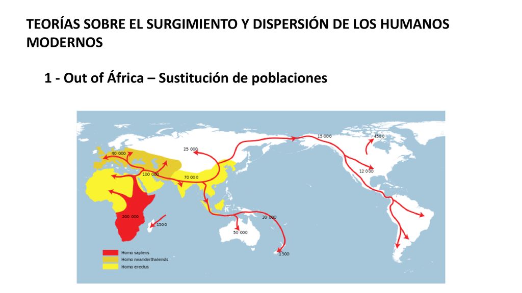 TEORÍAS SOBRE EL SURGIMIENTO Y DISPERSIÓN DE LOS HUMANOS MODERNOS