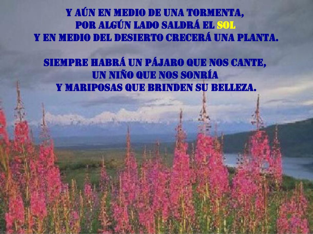 Y aún en medio de una tormenta, por algún lado saldrá el sol