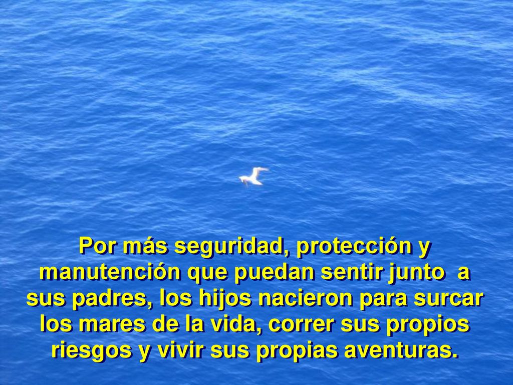 Por más seguridad, protección y manutención que puedan sentir junto a sus padres, los hijos nacieron para surcar los mares de la vida, correr sus propios riesgos y vivir sus propias aventuras.