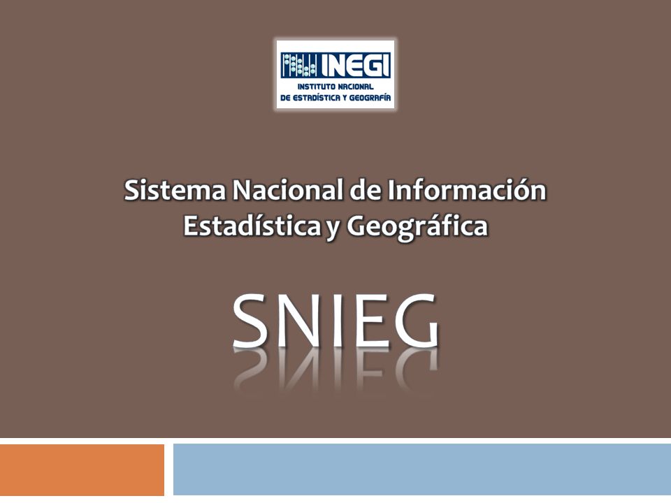 Sistema Nacional de Información Estadística y Geográfica