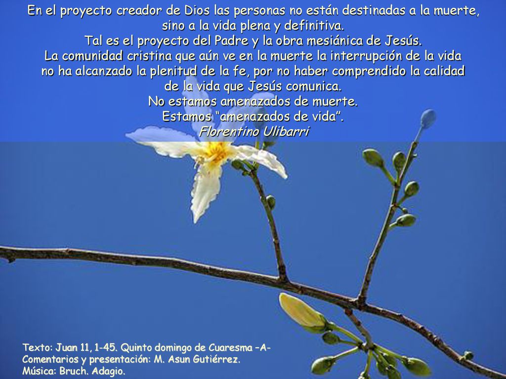 Tal es el proyecto del Padre y la obra mesiánica de Jesús.