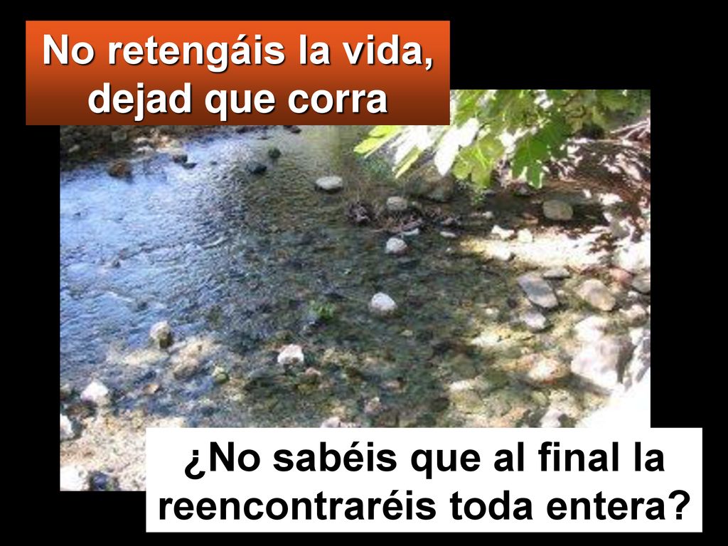 No retengáis la vida, dejad que corra