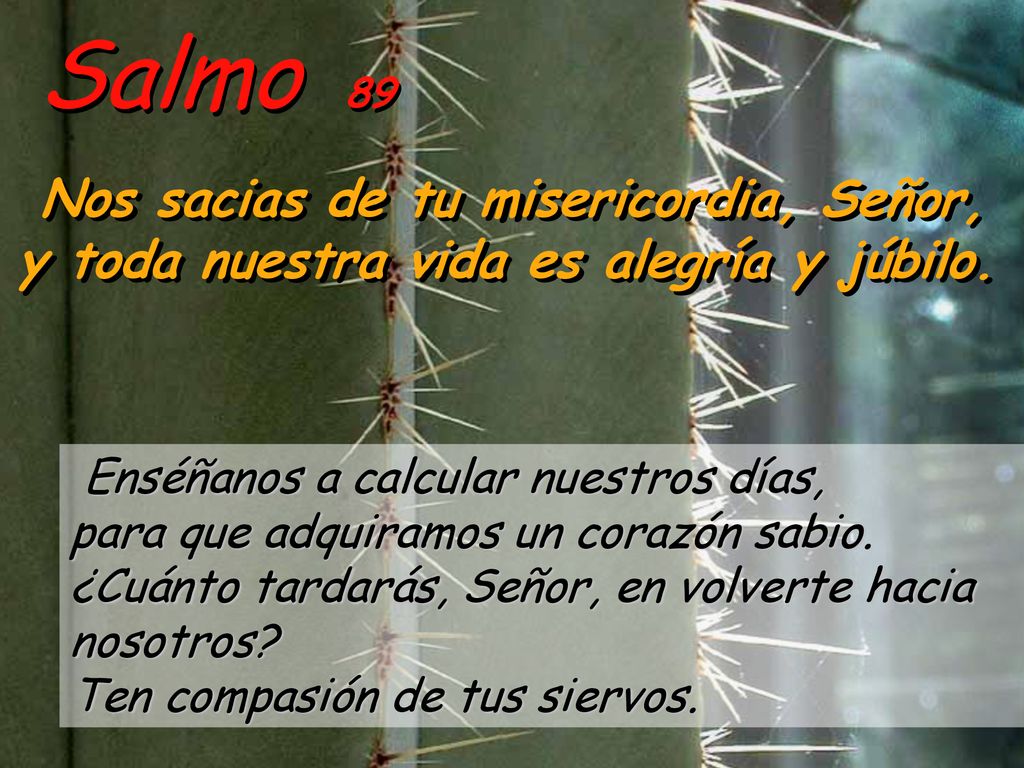 Salmo 89 Nos sacias de tu misericordia, Señor, y toda nuestra vida es alegría y júbilo.