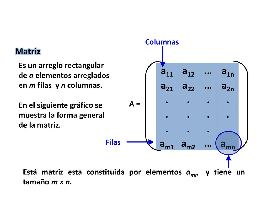 a11 a12 … a1n a21 a22 a2n . am1 am2 amn Matriz Columnas