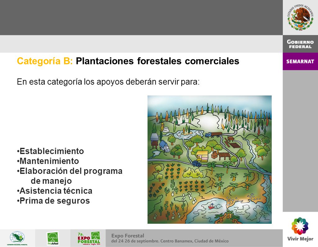 Categoría B: Plantaciones forestales comerciales