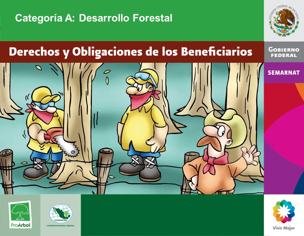Categoría A: Desarrollo Forestal