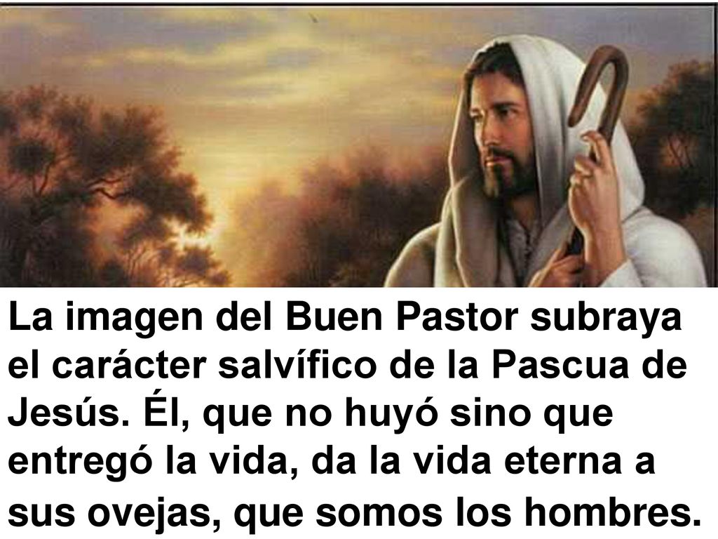 La imagen del Buen Pastor subraya el carácter salvífico de la Pascua de Jesús.