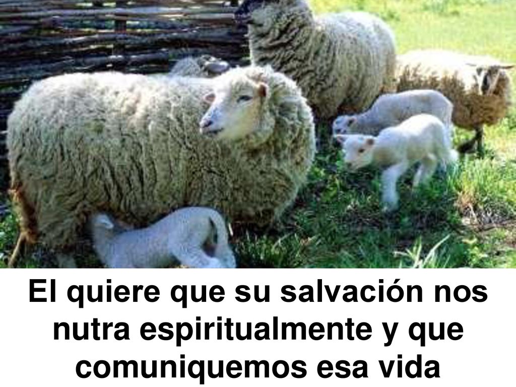 El quiere que su salvación nos nutra espiritualmente y que comuniquemos esa vida