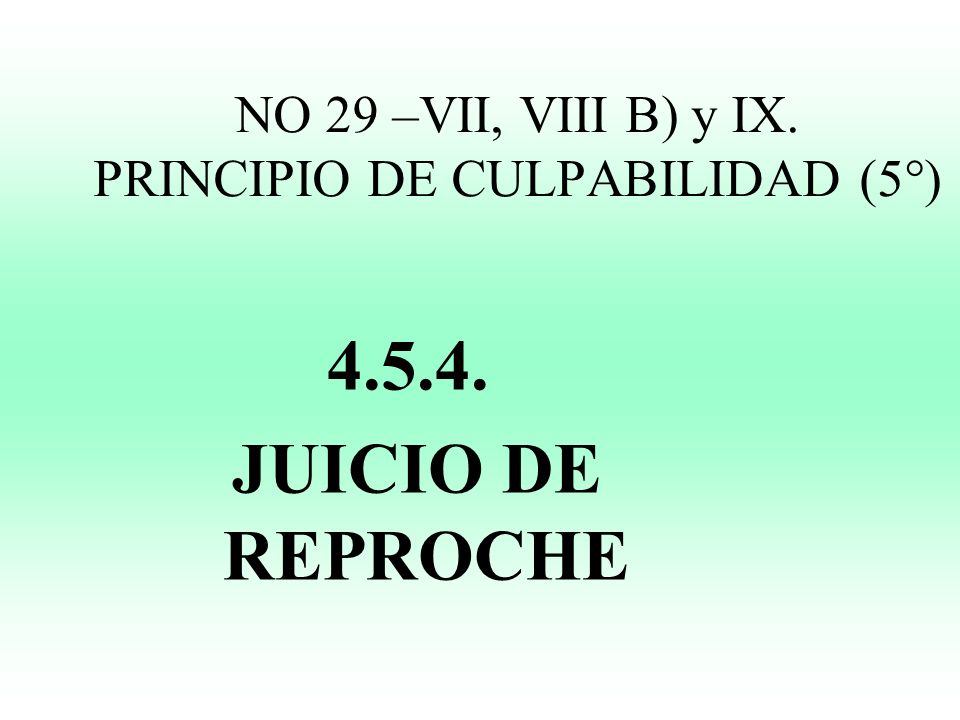 NO 29 –VII, VIII B) y IX. PRINCIPIO DE CULPABILIDAD (5°)