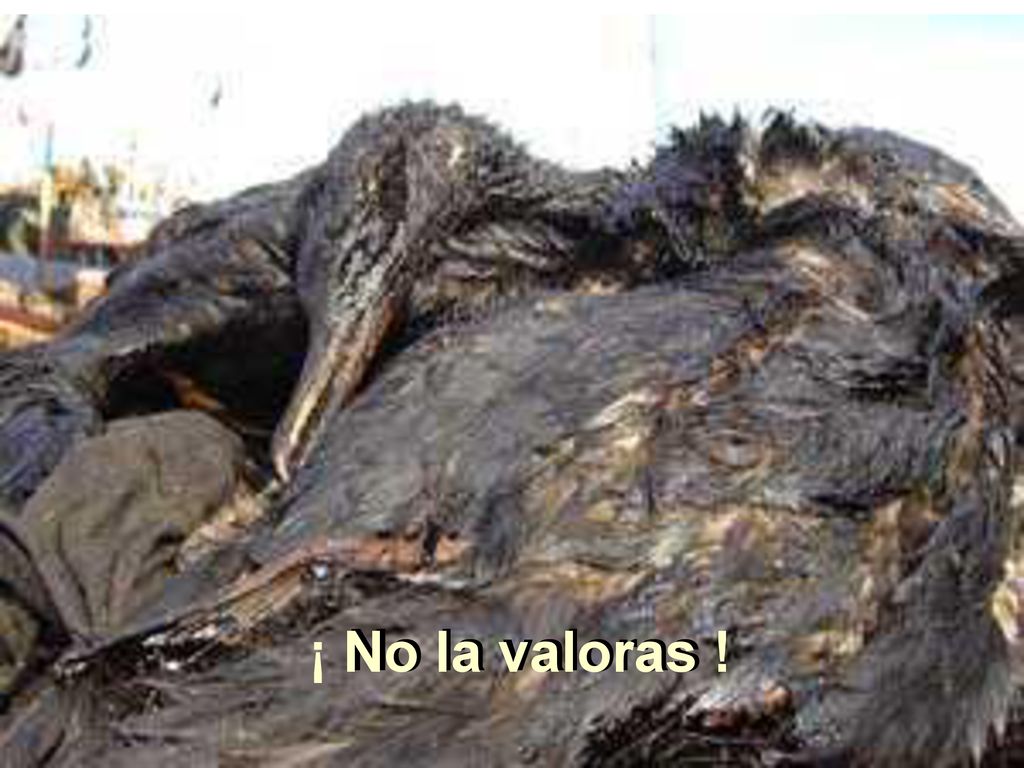 No la valoras ¡ No la valoras !
