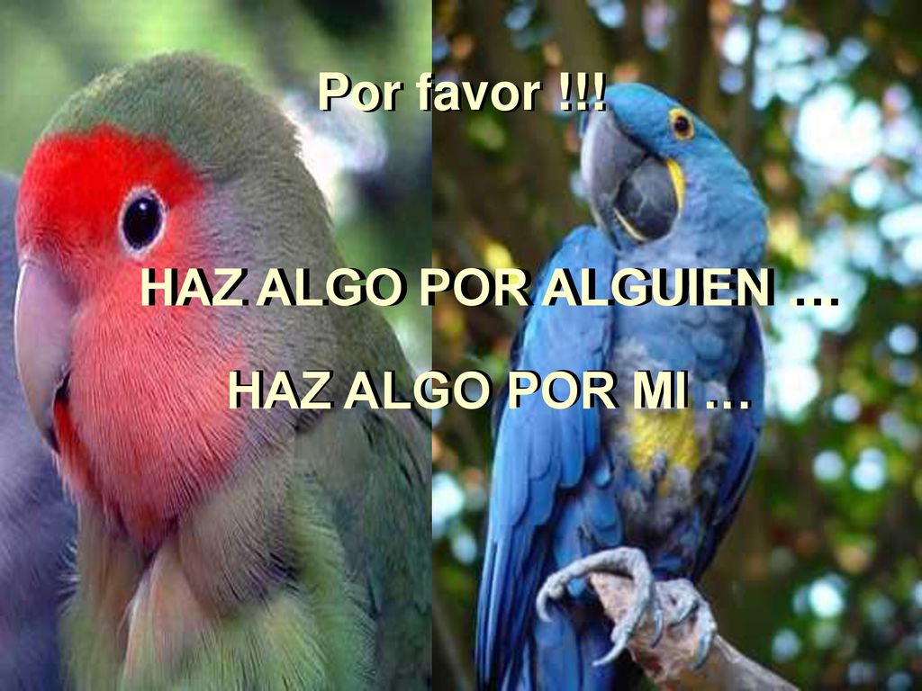 Por favor !!! HAZ ALGO POR ALGUIEN … HAZ ALGO POR MI …