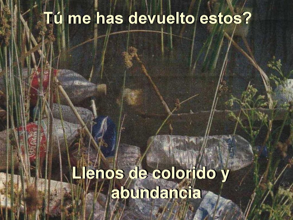 tú me has devuelto estos Tú me has devuelto estos