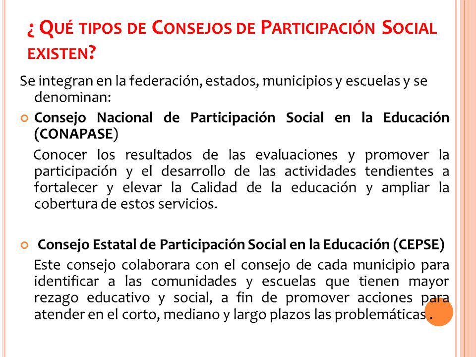¿ Qué tipos de Consejos de Participación Social existen