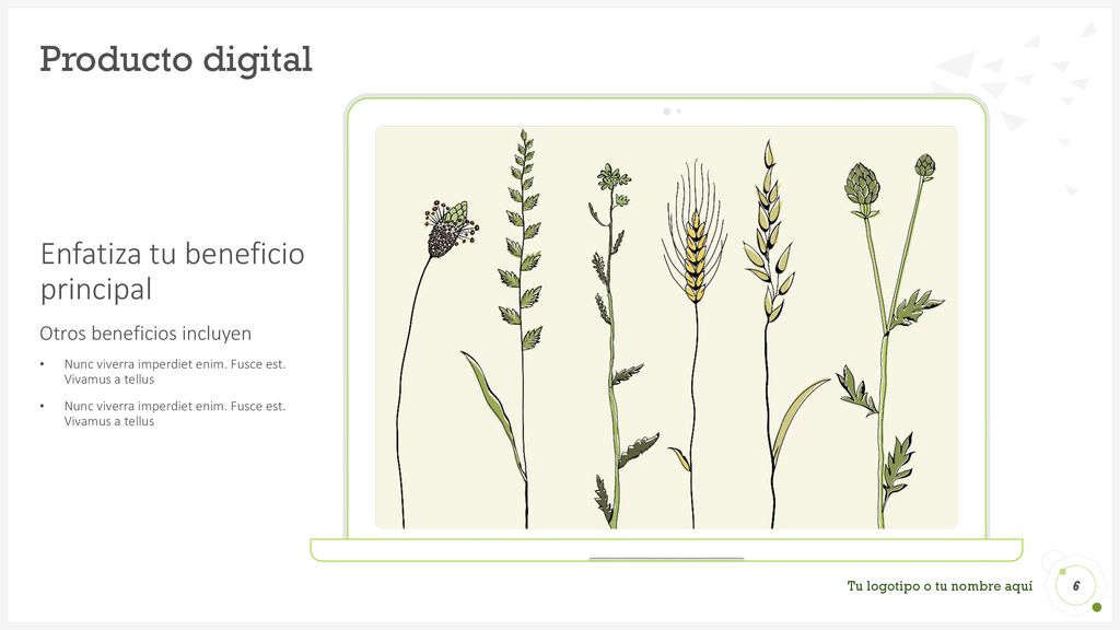 Producto digital Enfatiza tu beneficio principal
