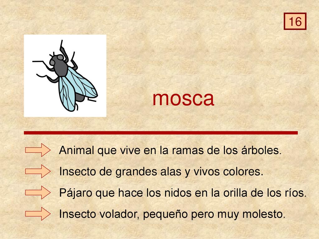 mosca 16 Animal que vive en la ramas de los árboles.