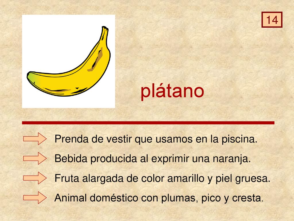 plátano 14 Prenda de vestir que usamos en la piscina.