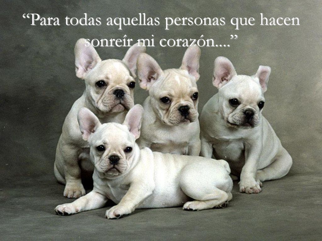 Para todas aquellas personas que hacen sonreír mi corazón....