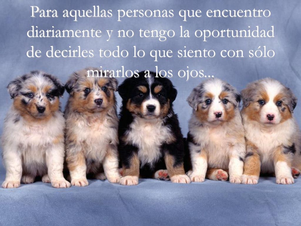 Para aquellas personas que encuentro diariamente y no tengo la oportunidad de decirles todo lo que siento con sólo mirarlos a los ojos...