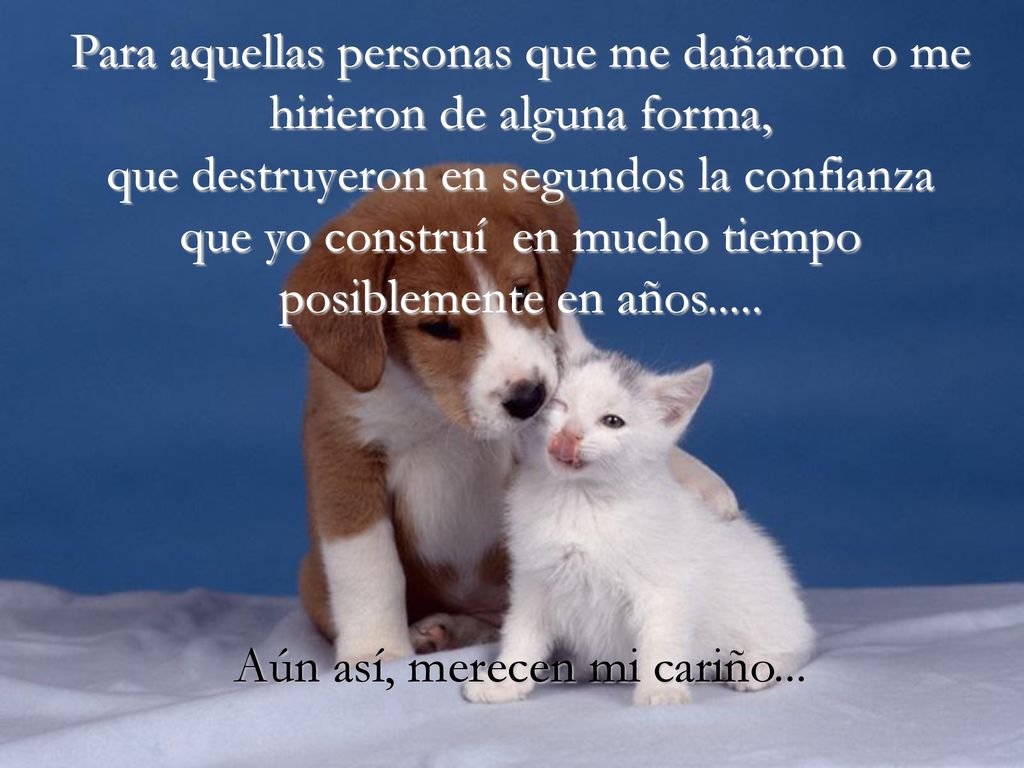 Para aquellas personas que me dañaron o me hirieron de alguna forma, que destruyeron en segundos la confianza que yo construí en mucho tiempo posiblemente en años.....