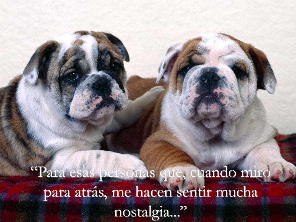 Para esas personas que, cuando miro para atrás, me hacen sentir mucha nostalgia...