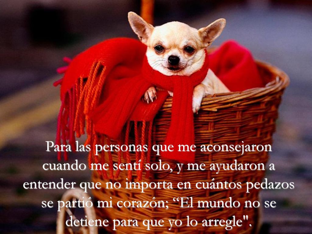 Para las personas que me aconsejaron cuando me sentí solo, y me ayudaron a entender que no importa en cuántos pedazos se partió mi corazón; El mundo no se detiene para que yo lo arregle .