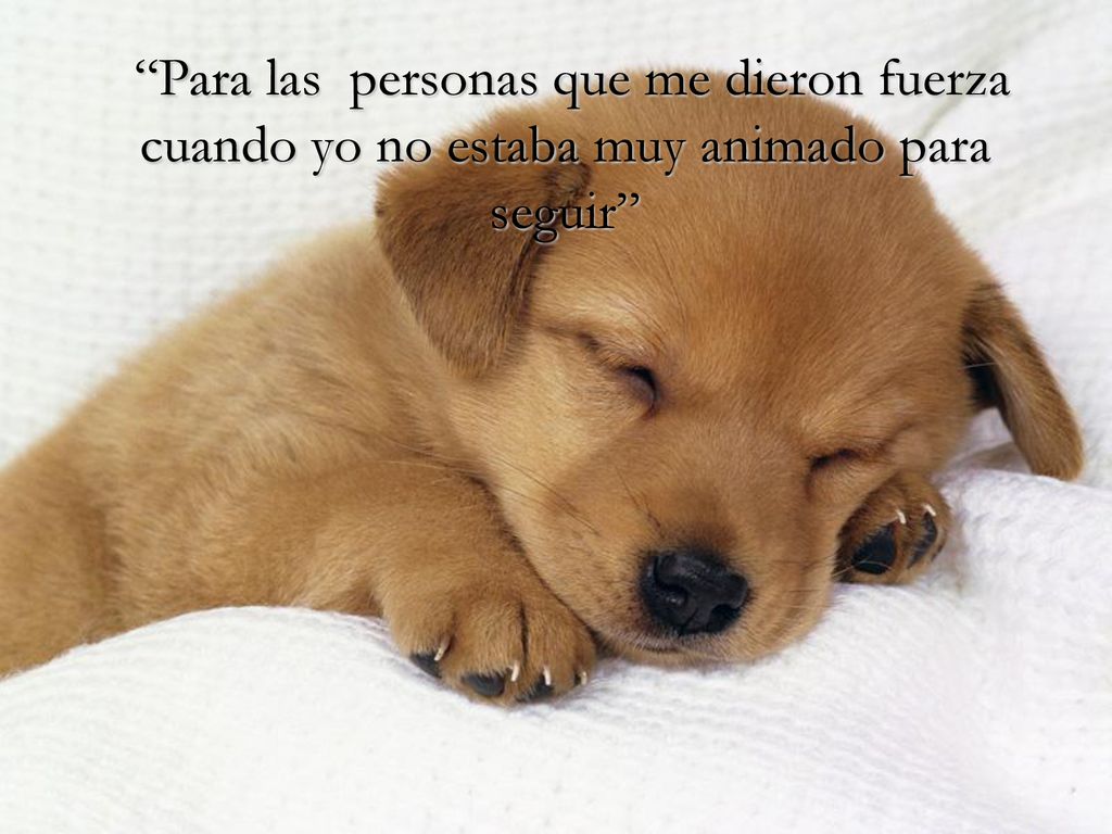 Para las personas que me dieron fuerza cuando yo no estaba muy animado para seguir