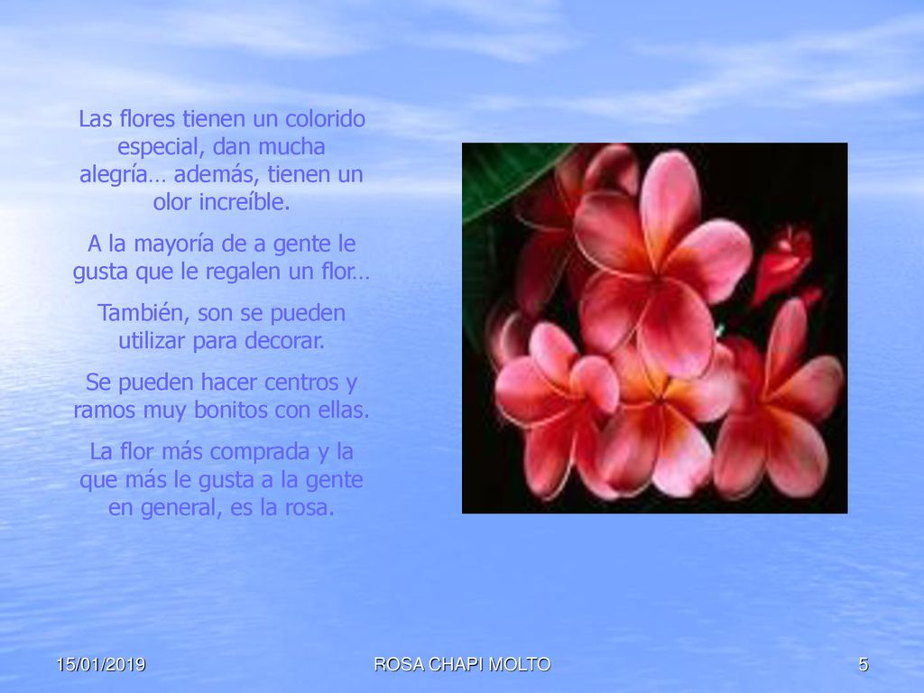 A la mayoría de a gente le gusta que le regalen un flor…