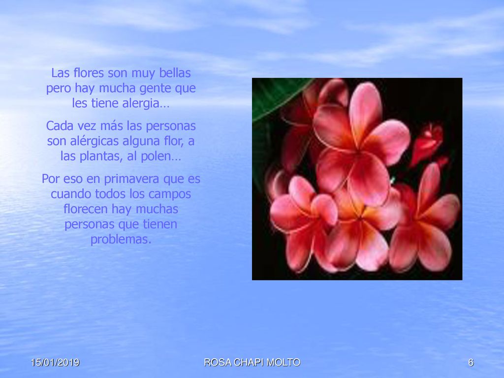 Las flores son muy bellas pero hay mucha gente que les tiene alergia…