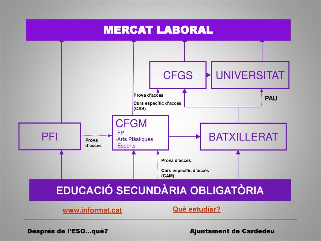 Servei d Orientació Professional- Xerrades d Orientació 4t d ESO