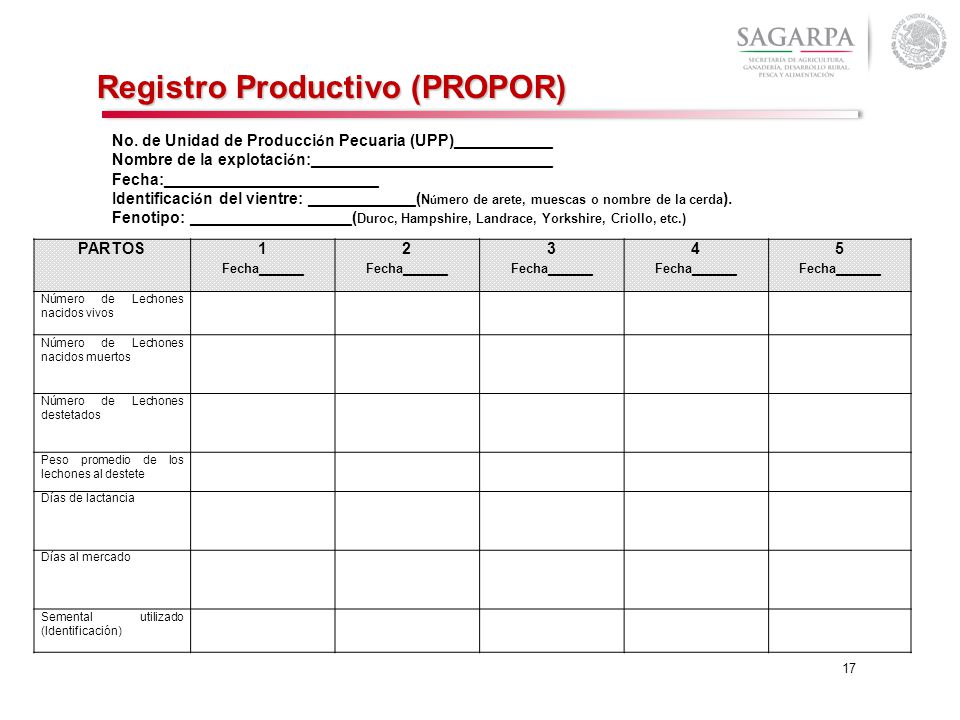 Registro Productivo (PROPOR)