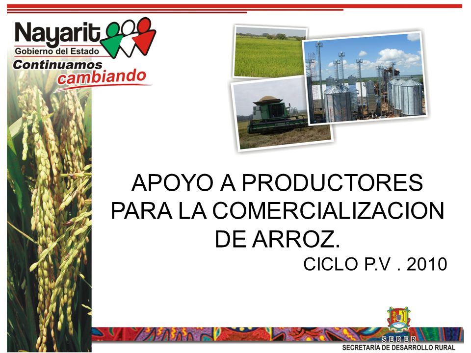 APOYO A PRODUCTORES PARA LA COMERCIALIZACION DE ARROZ.