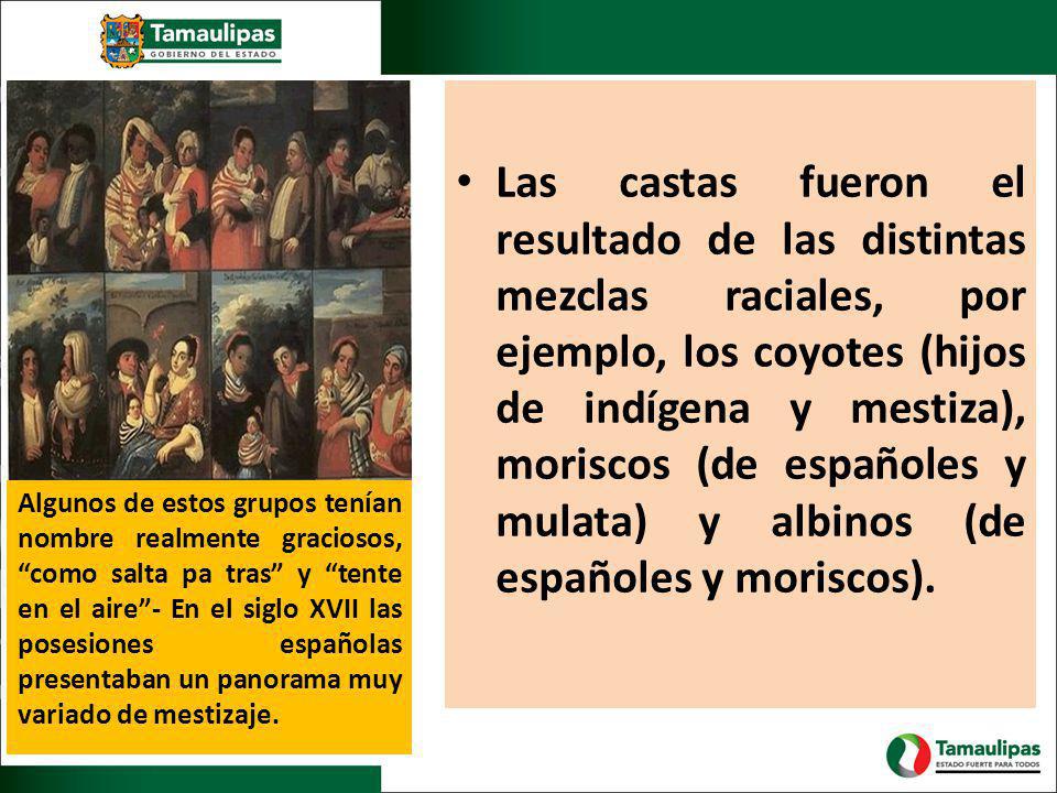 Las castas fueron el resultado de las distintas mezclas raciales, por ejemplo, los coyotes (hijos de indígena y mestiza), moriscos (de españoles y mulata) y albinos (de españoles y moriscos).