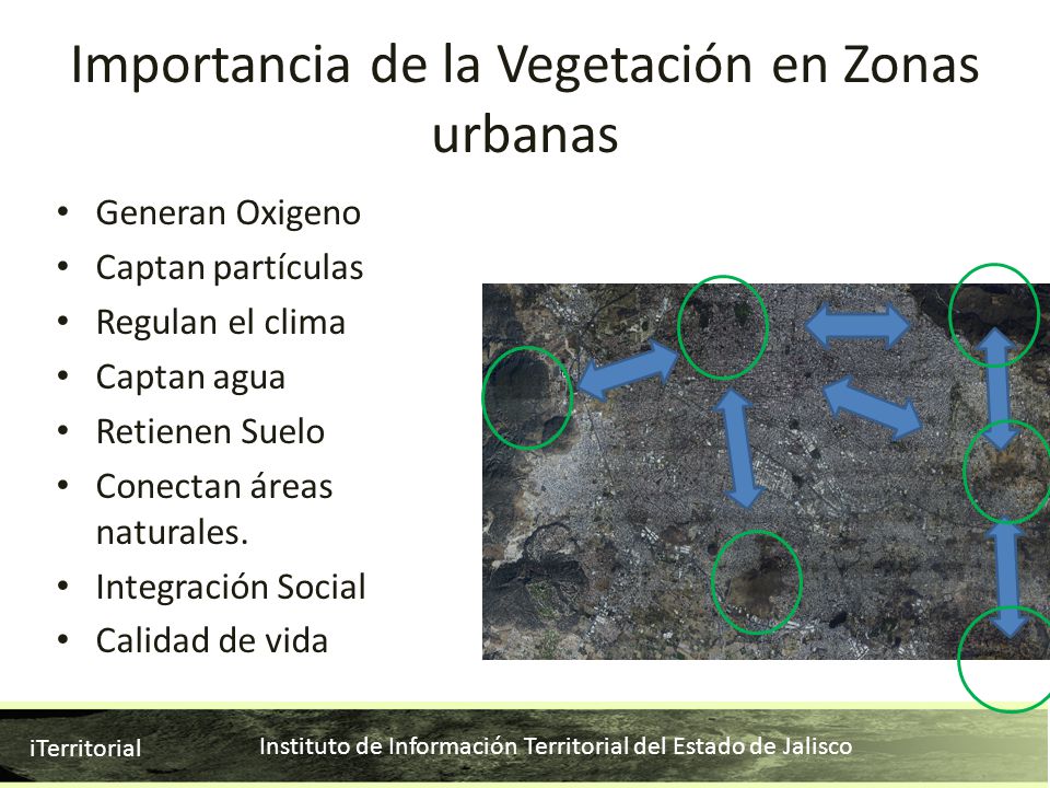 Importancia de la Vegetación en Zonas urbanas