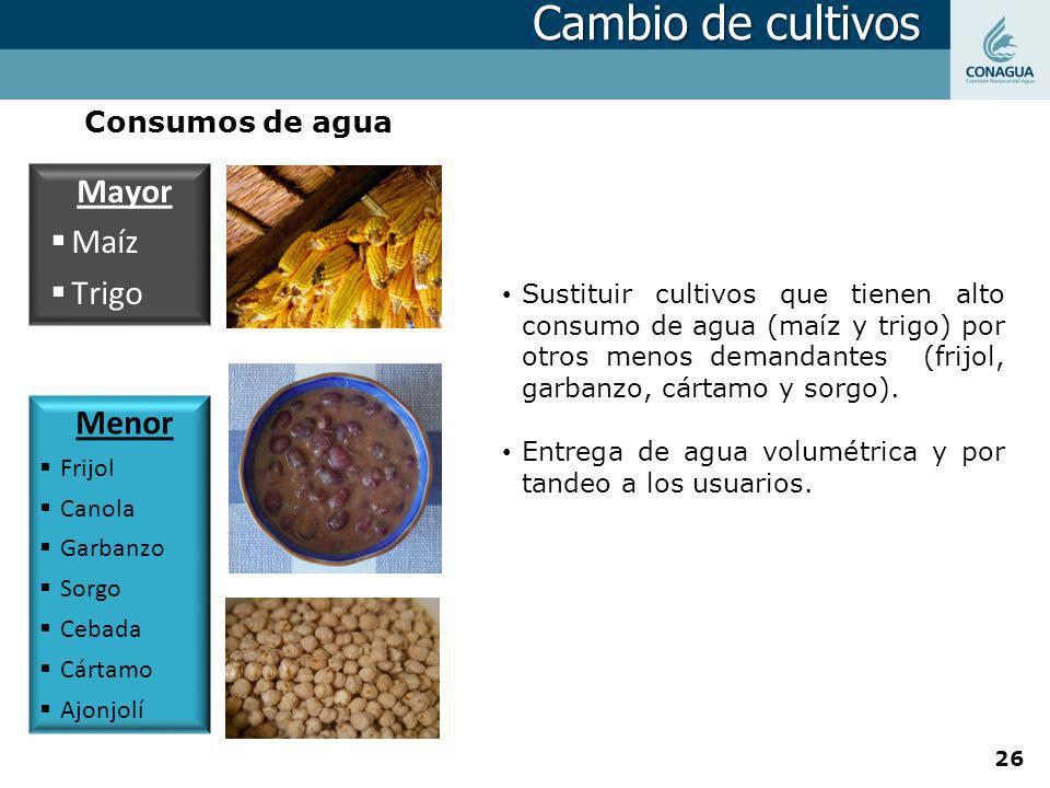 Cambio de cultivos Mayor Maíz Trigo Menor Consumos de agua