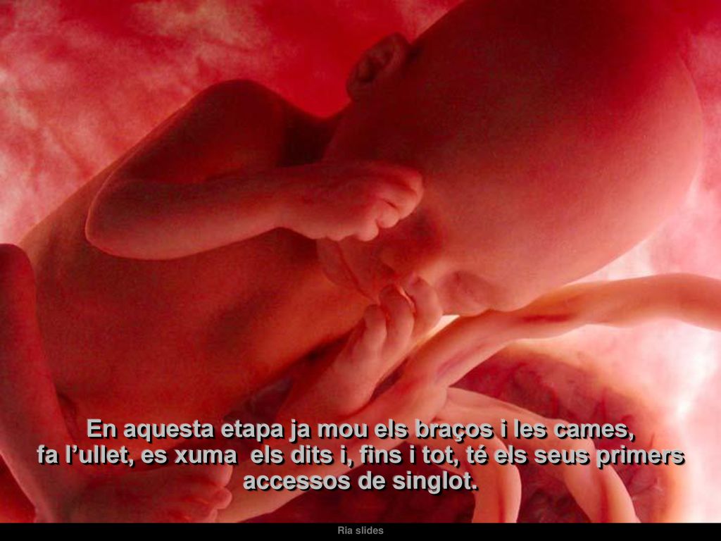 En aquesta etapa ja mou els braços i les cames, fa l’ullet, es xuma els dits i, fins i tot, té els seus primers accessos de singlot.