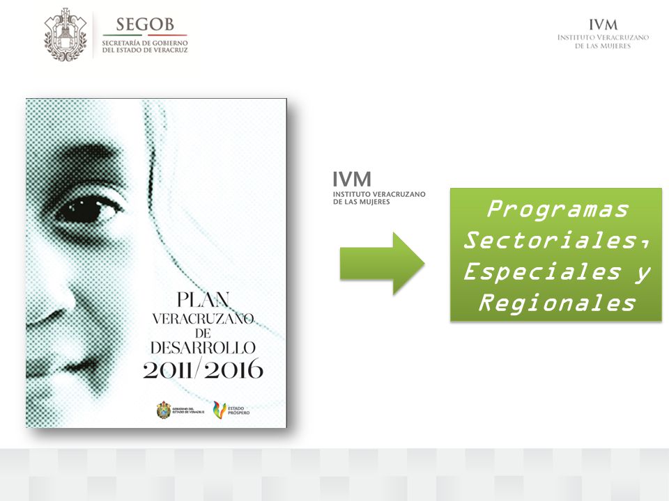 Programas Sectoriales, Especiales y Regionales