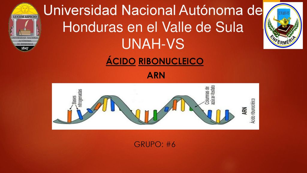 Universidad Nacional Autónoma de Honduras en el Valle de Sula UNAH-VS